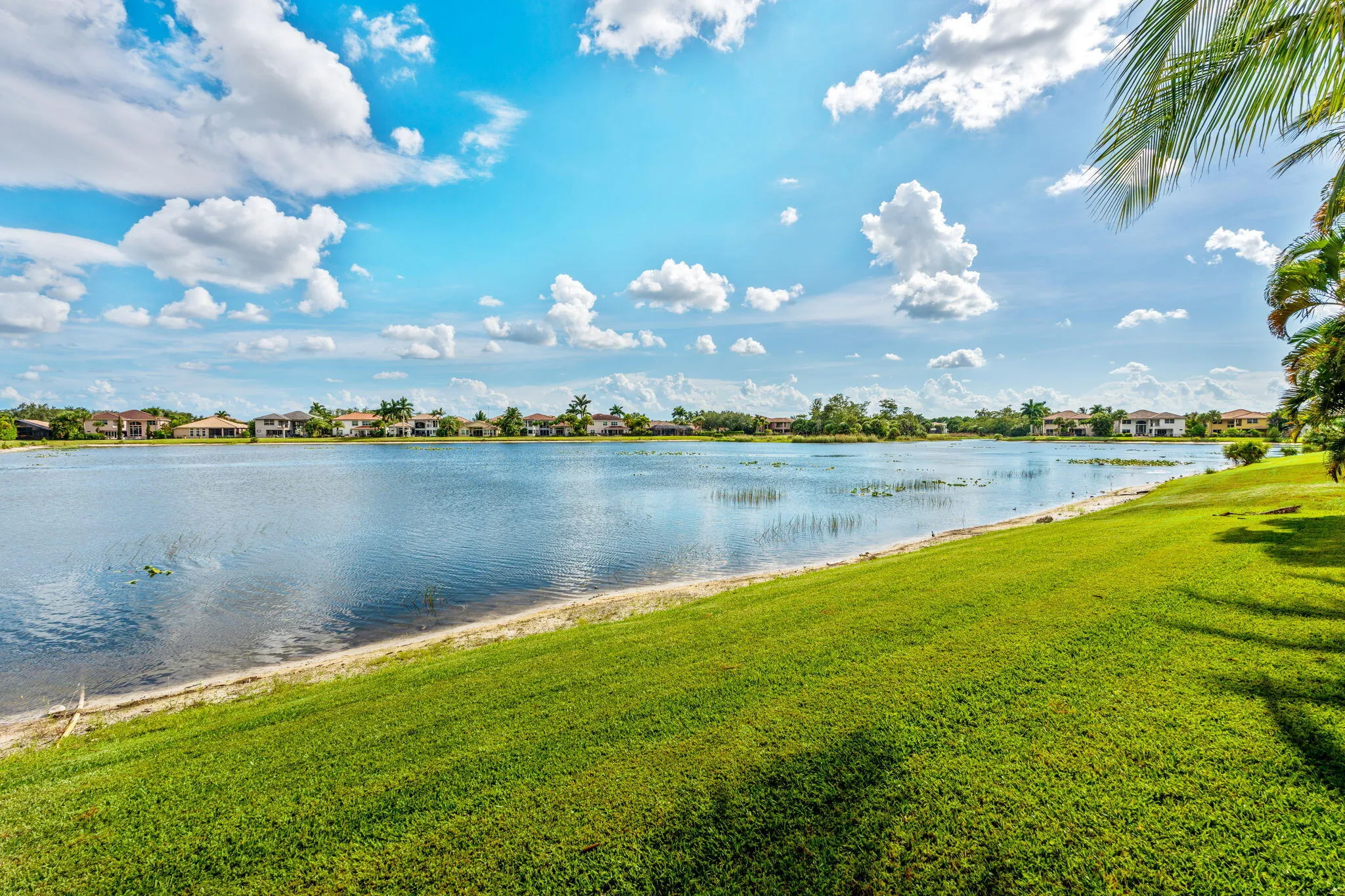 67-web-or-mls-A7403396