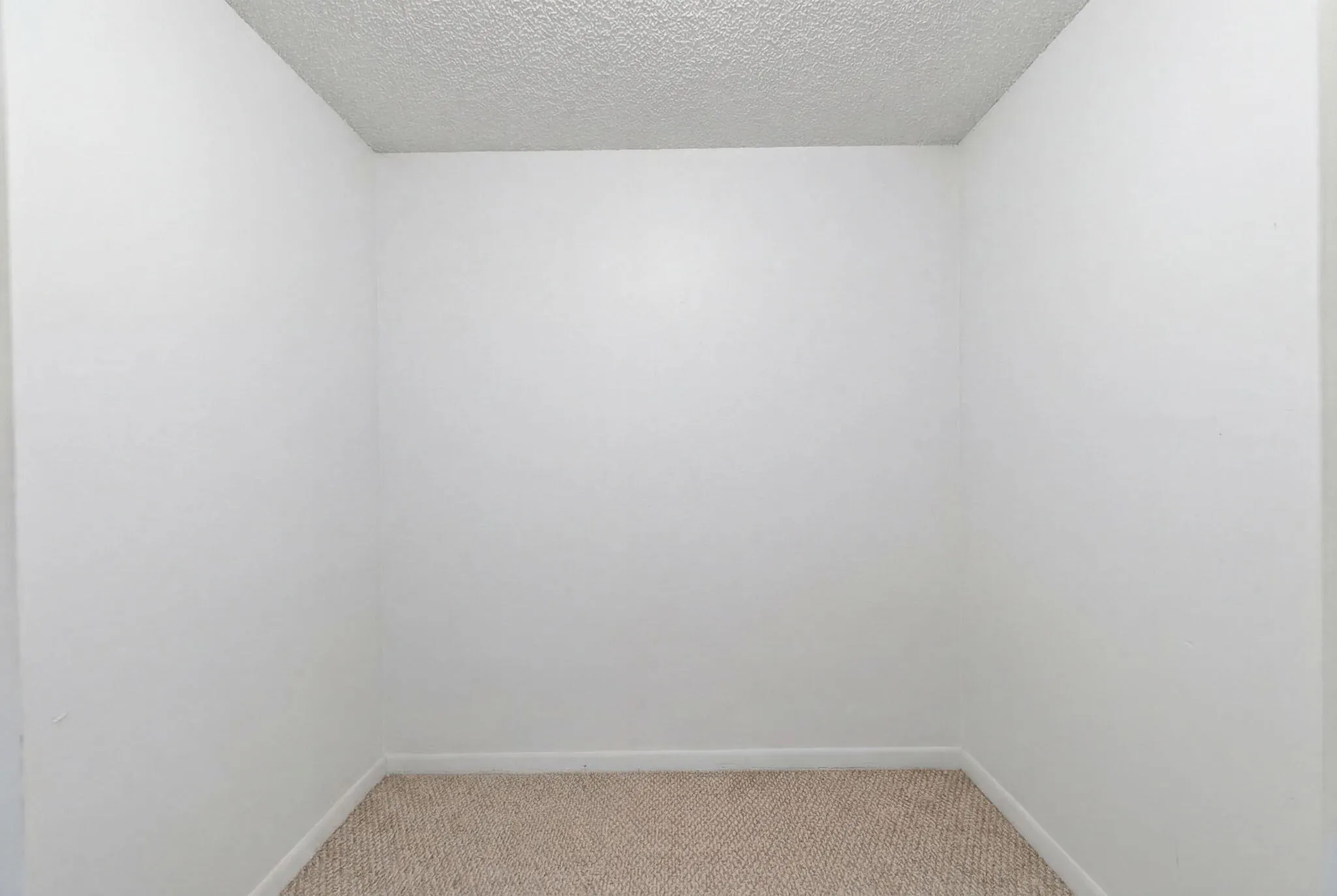 Primary has a Walk In Closet, added Wall Closet and Linen Closet
