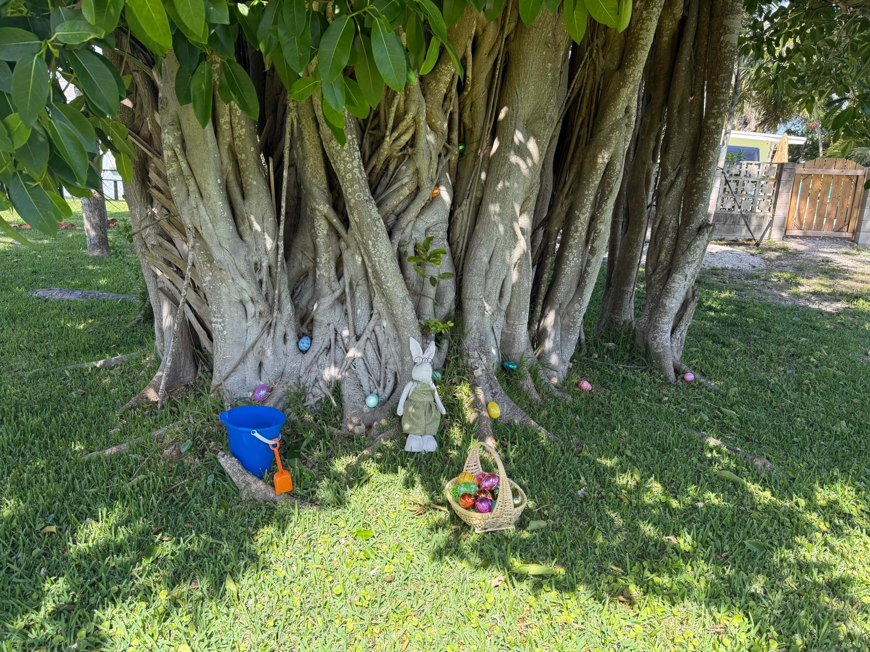 Property photo 16