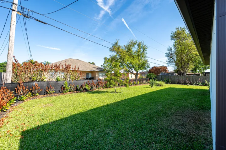 Back Yard