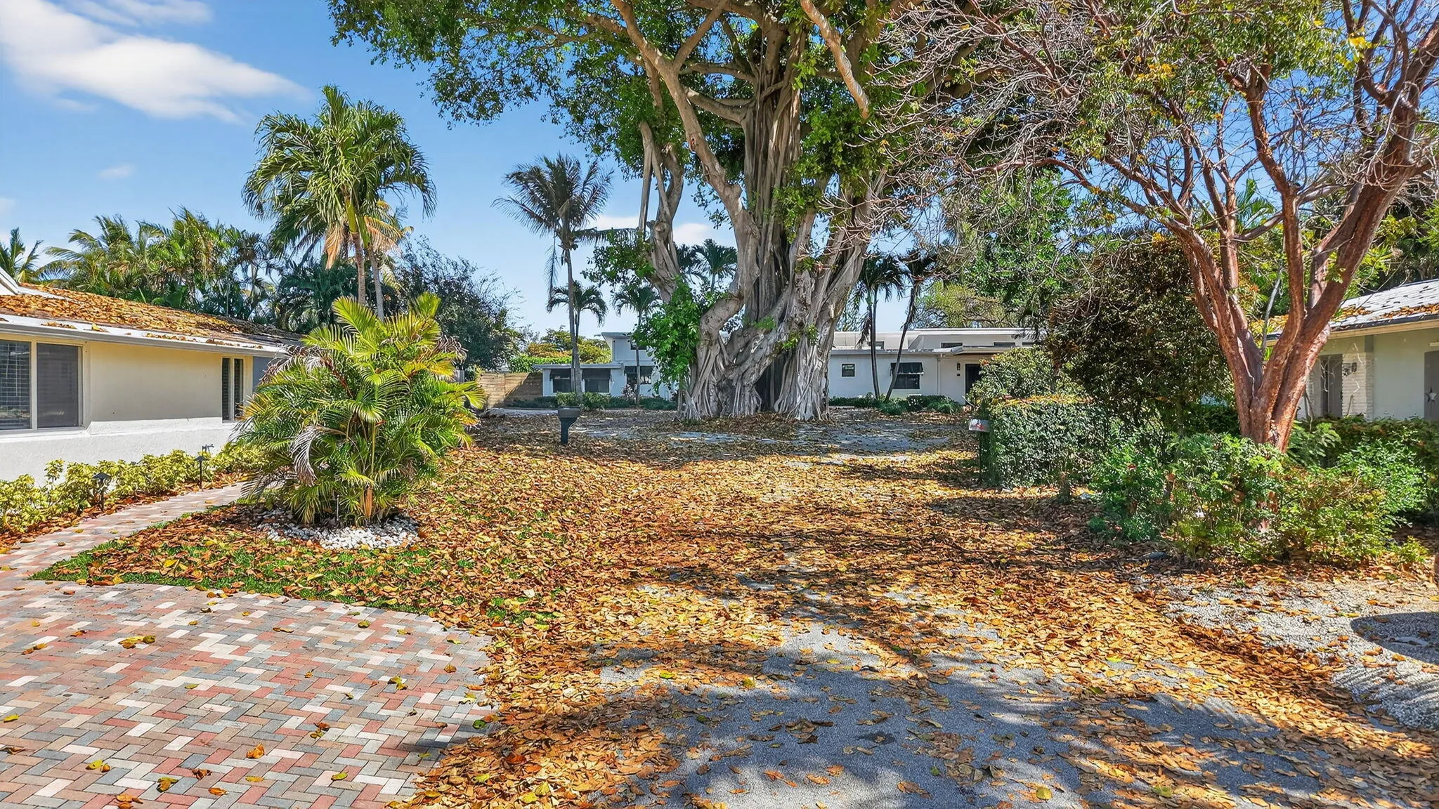 Exterior Lot