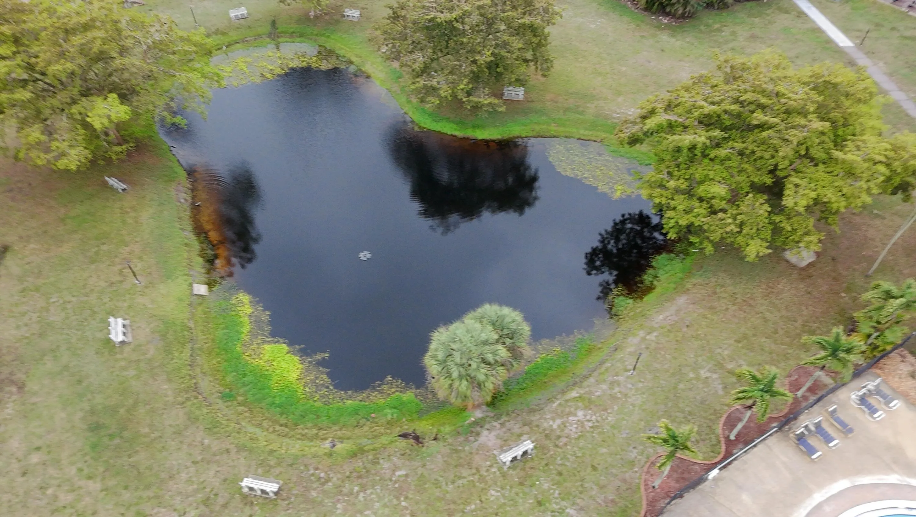 Property photo 49
