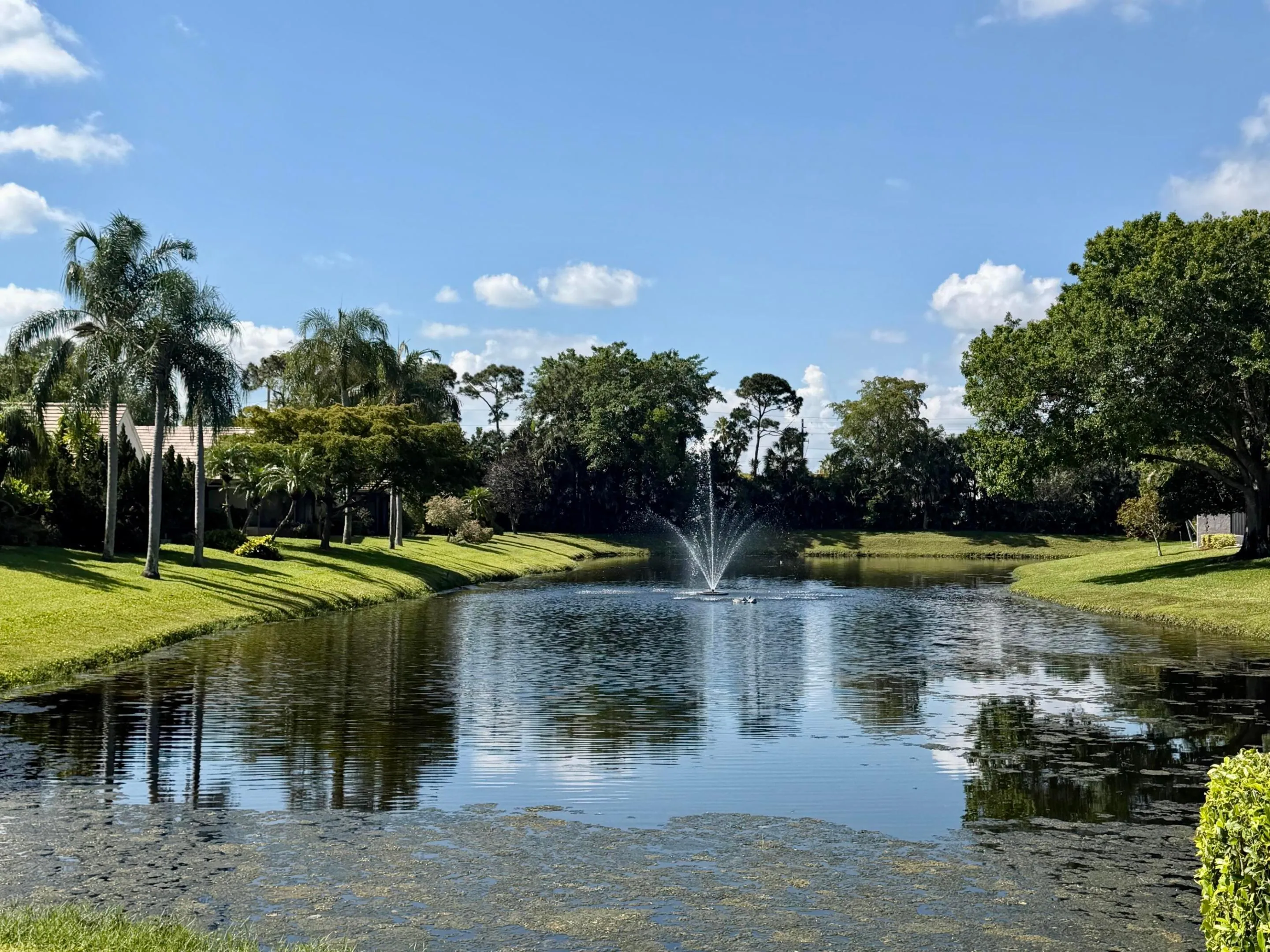 Lake view