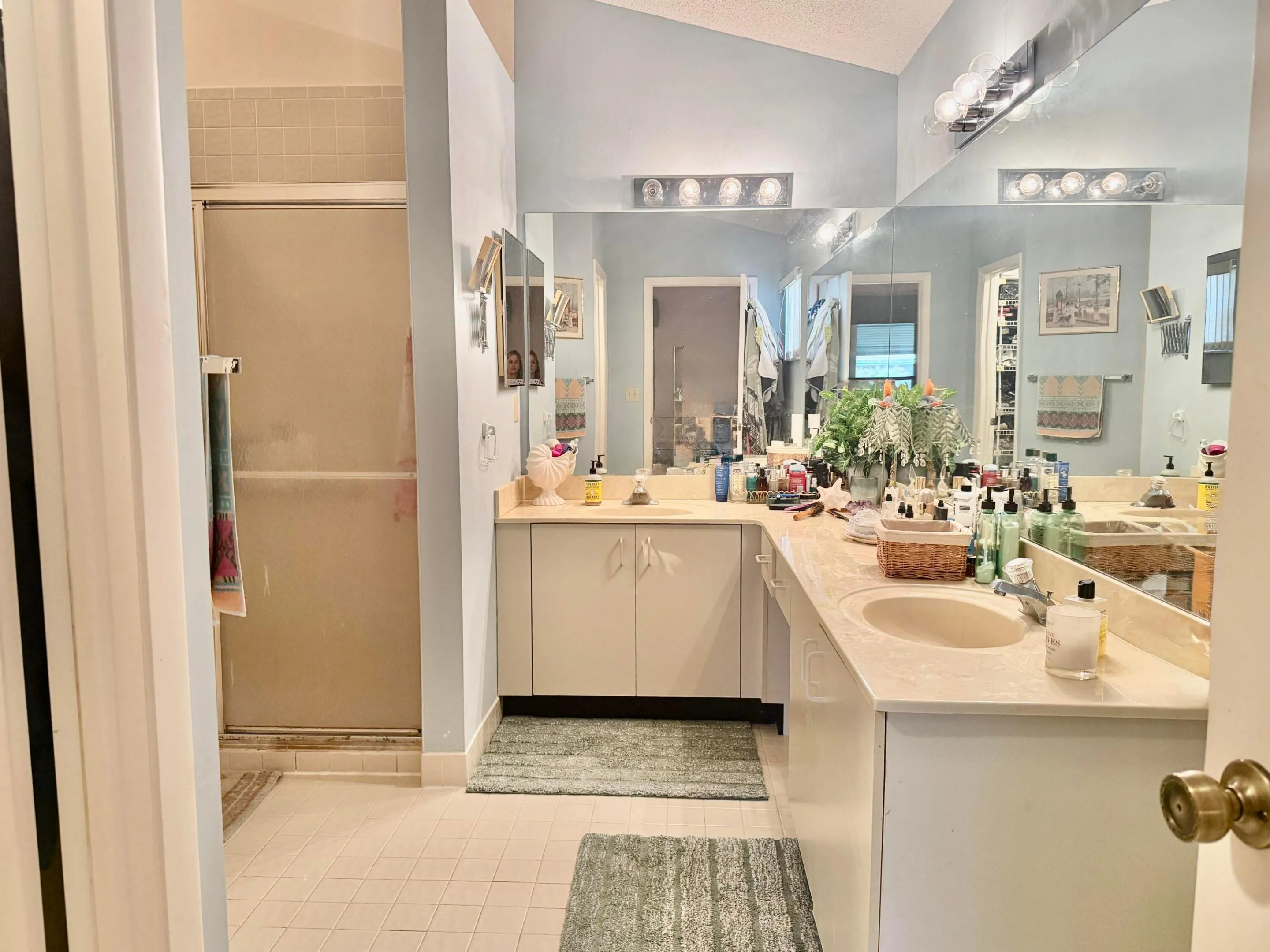 Primary bathroom