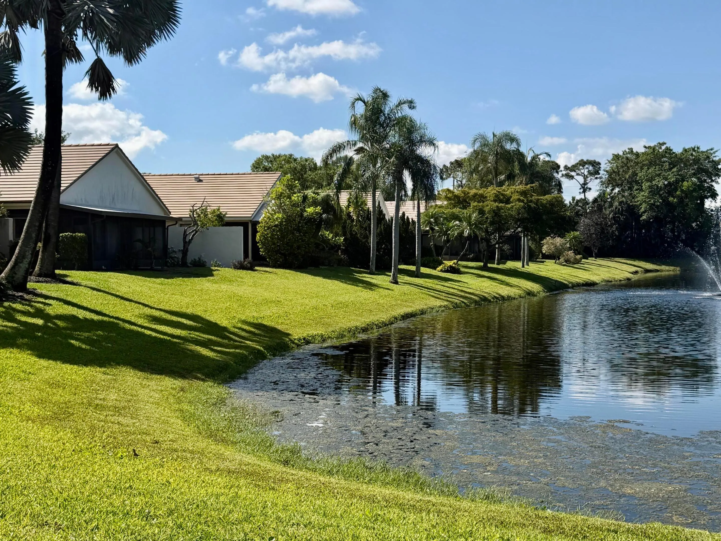 Houses and lake view