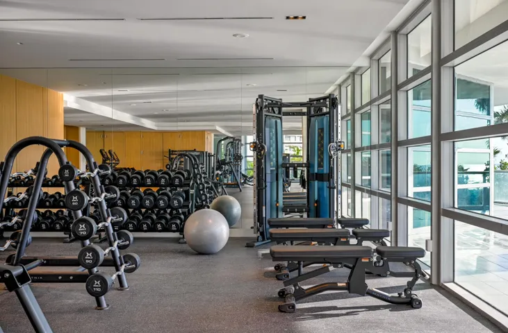 Gym Weights