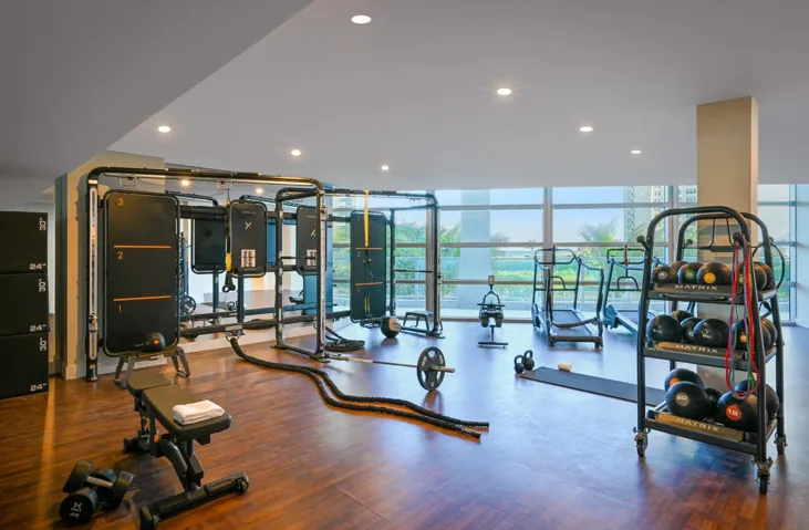 Gym Weights 2