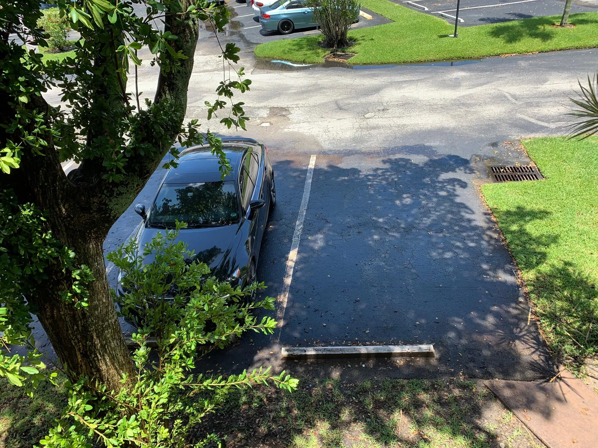202 parking assigned