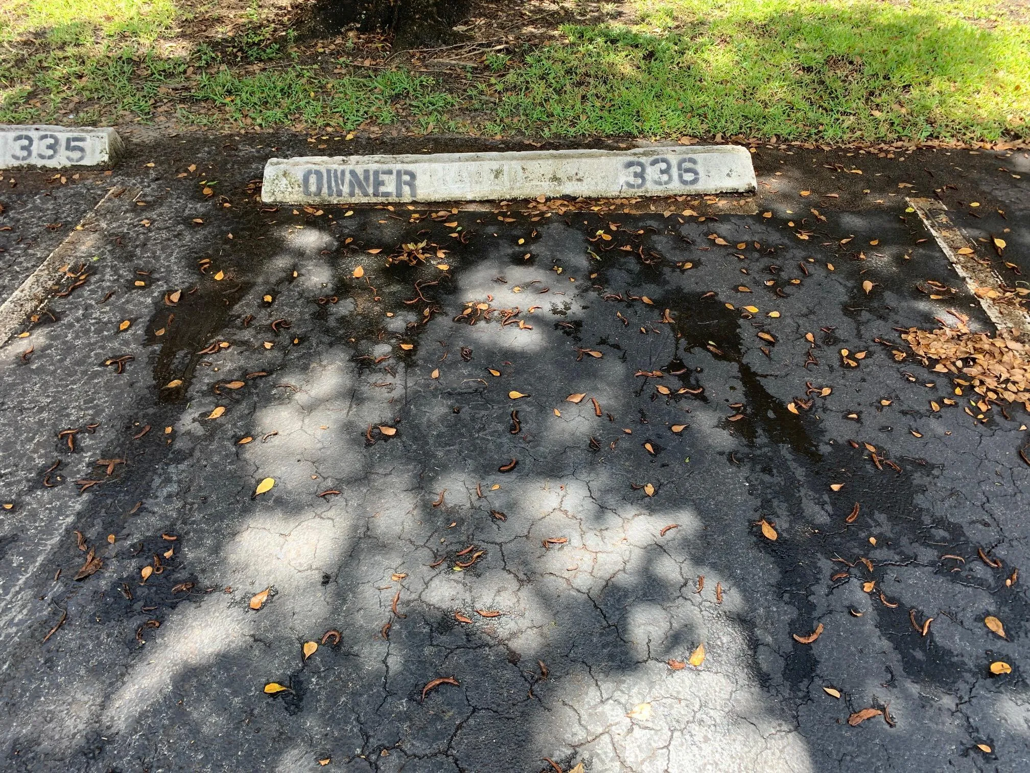 202 parking