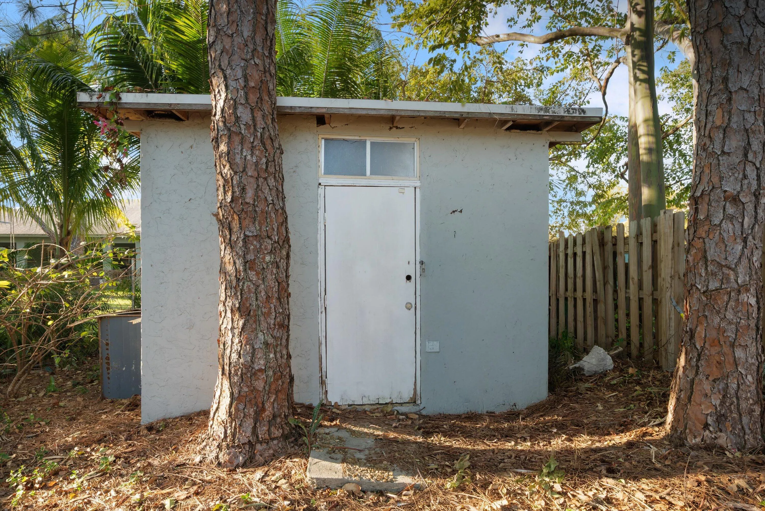 Shed