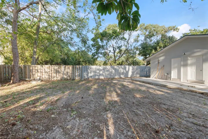 Backyard