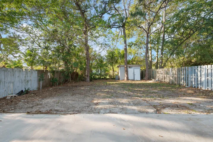 Backyard