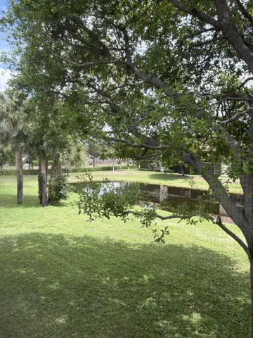 View in Back
