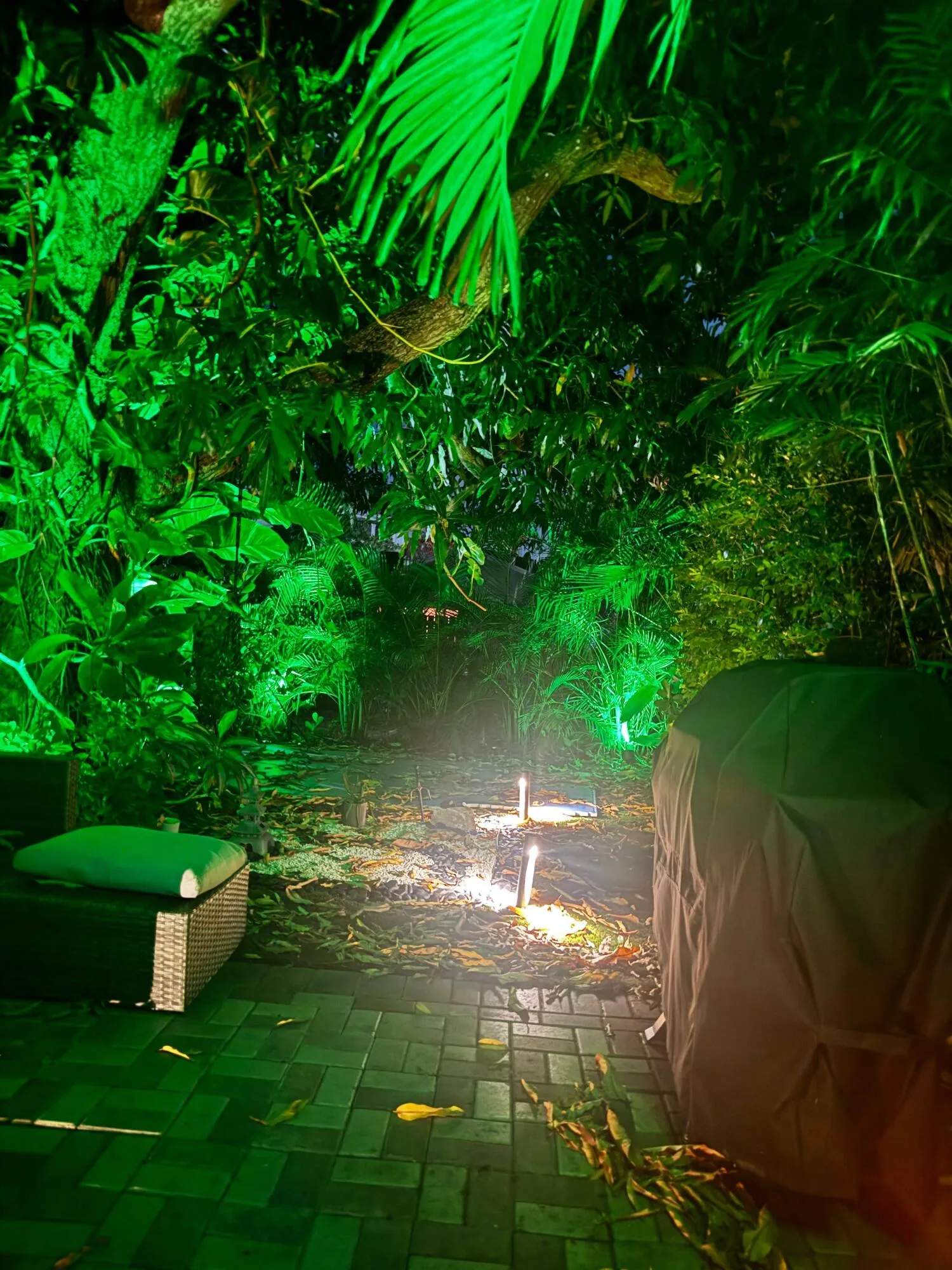 IMG-20260729-WA0065