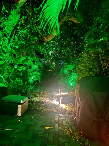 IMG-20260729-WA0065