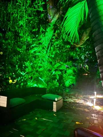 IMG-20260729-WA0050