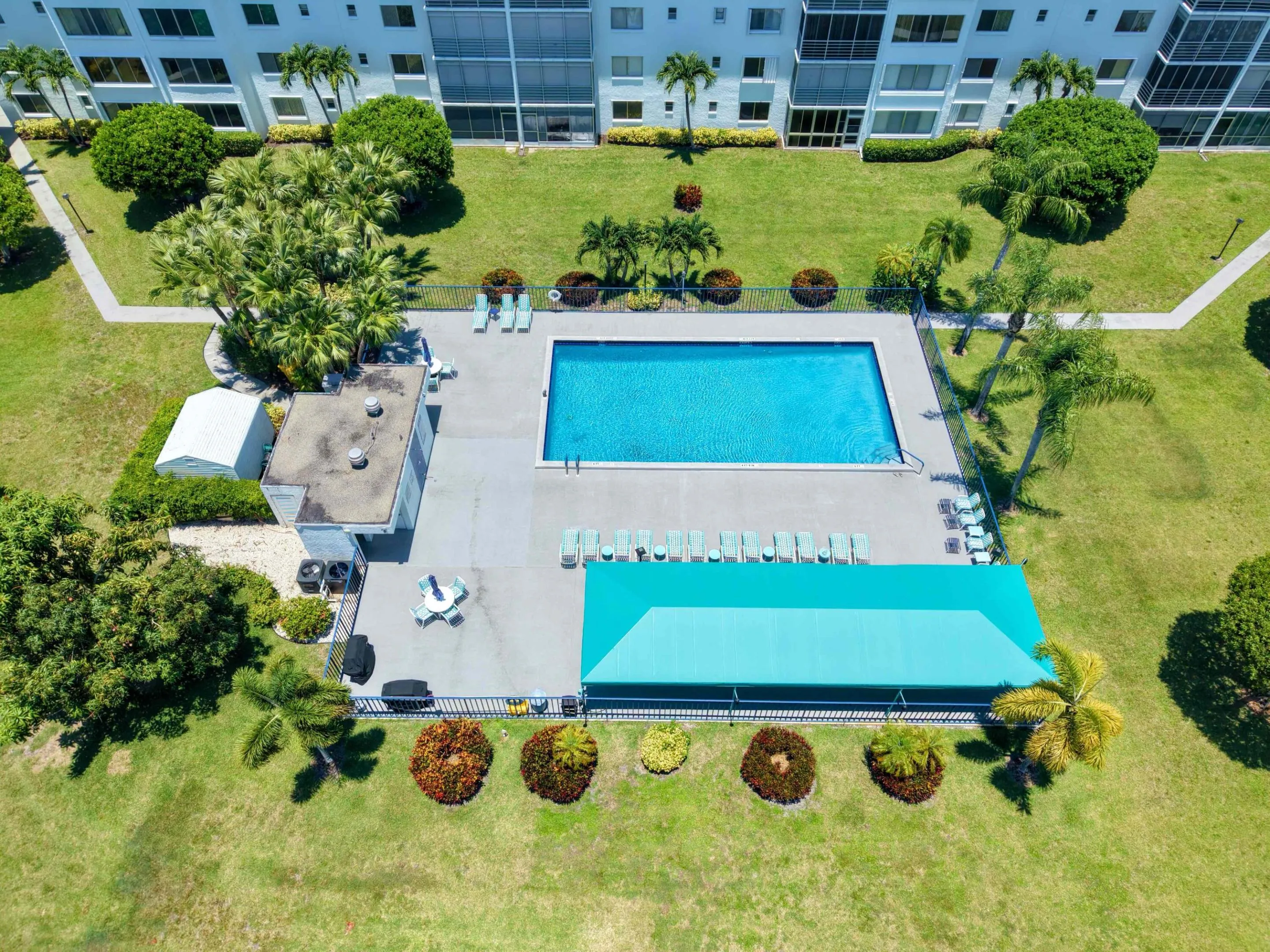 Pool Bird Eye View