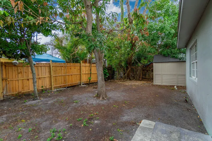 Backyard