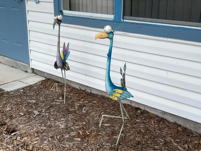 Whimsical birds welcome you home