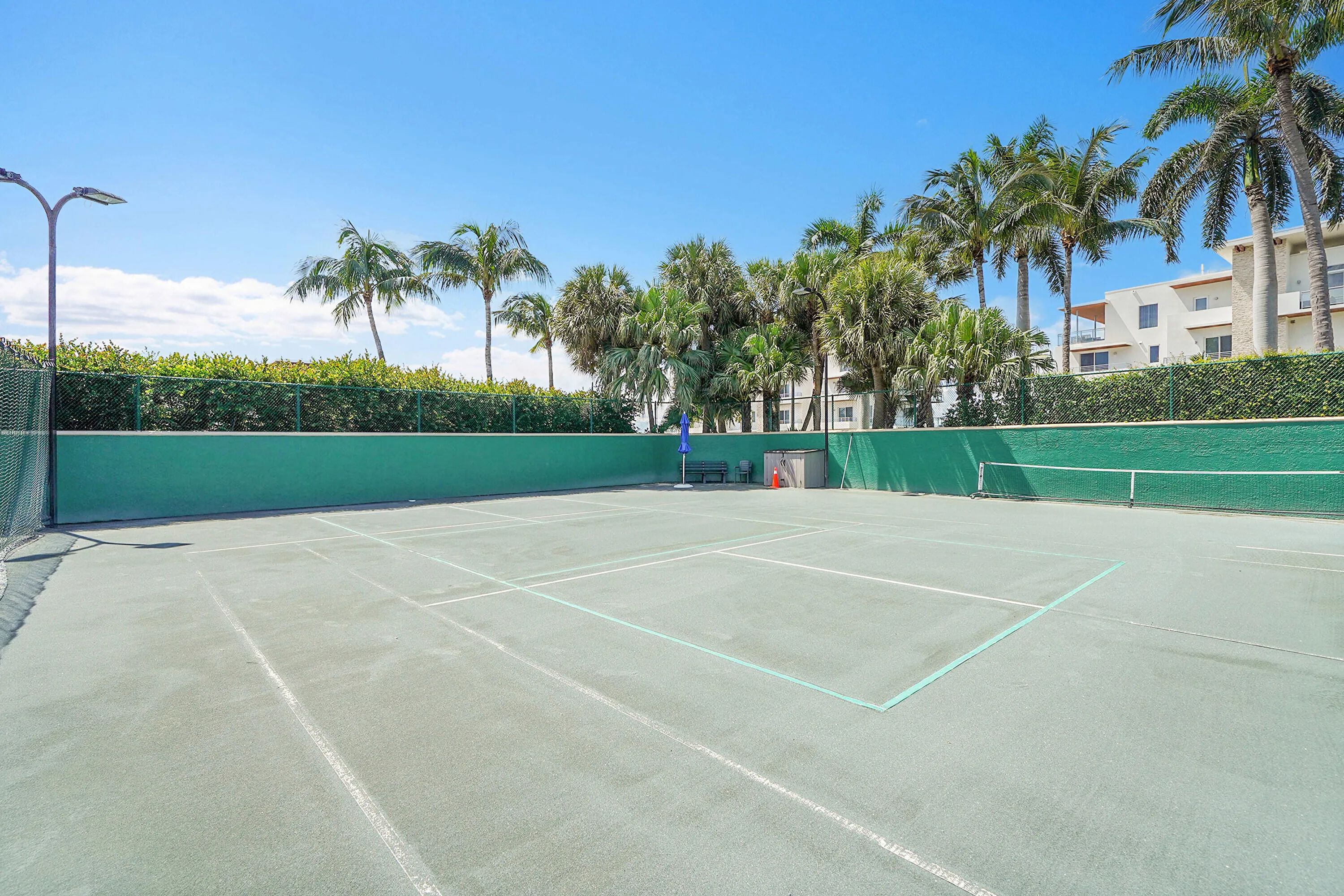 tennis / pickleball