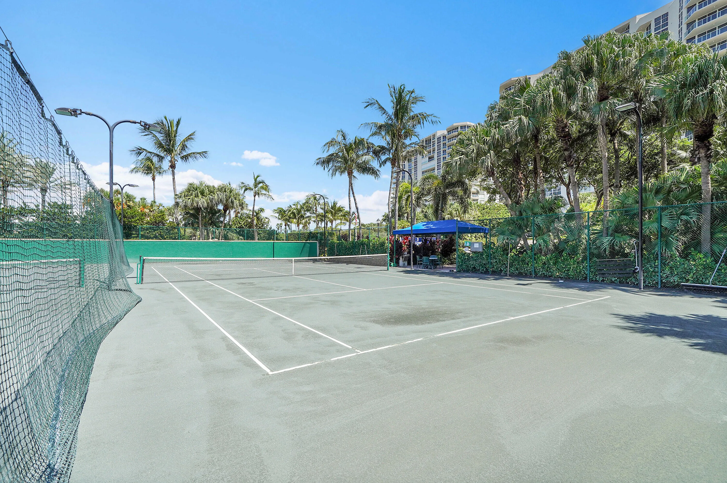 tennis / pickleball