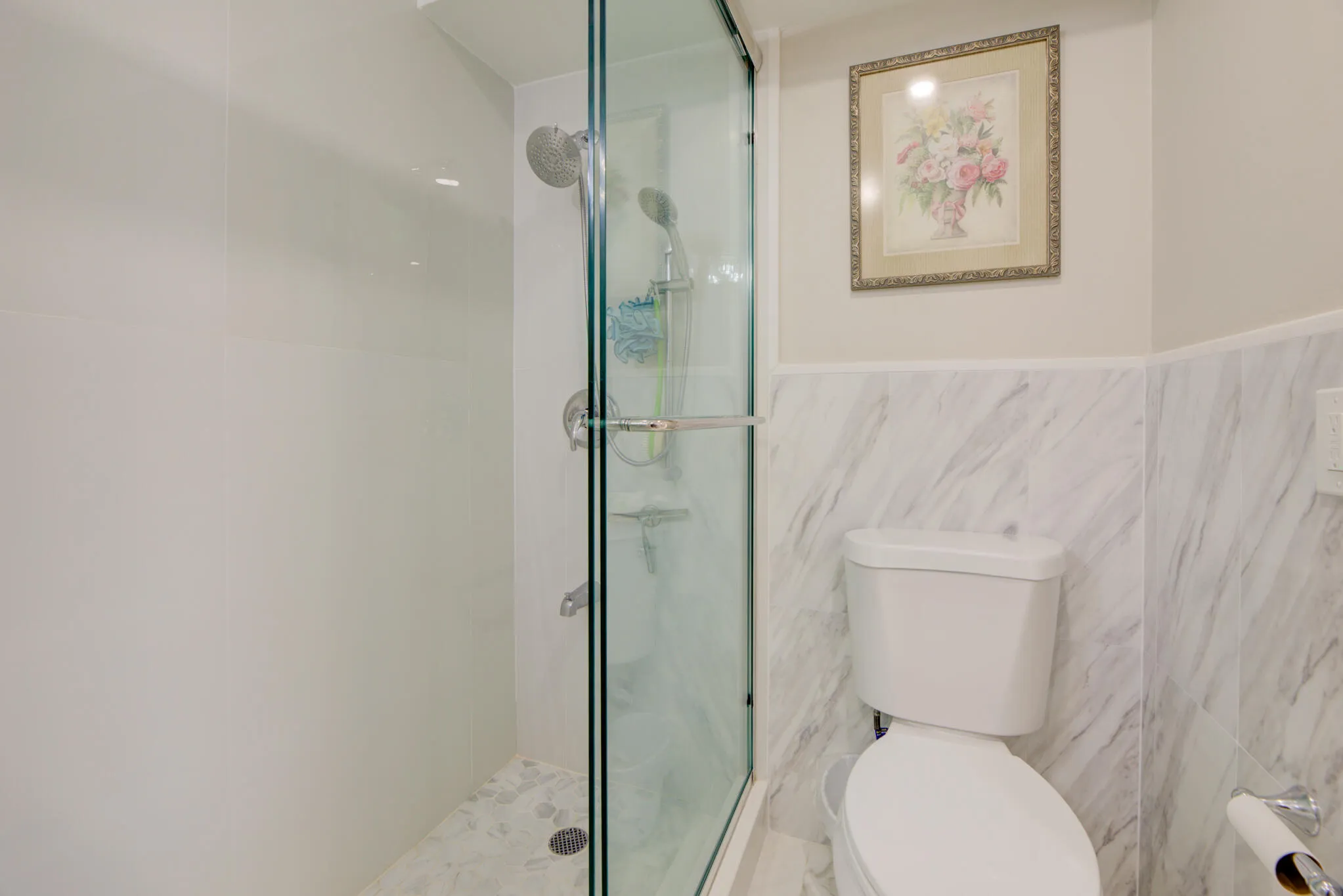 JH 1007 shower toilet