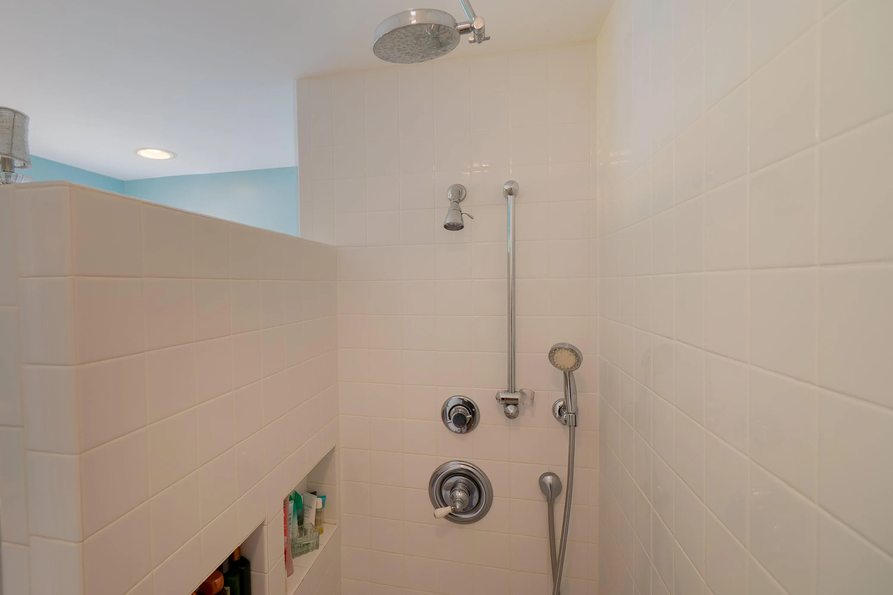 Primary Bathroom Shower