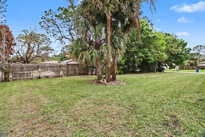 Backyard