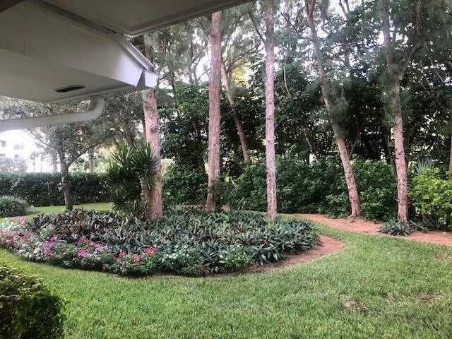 Backyard View