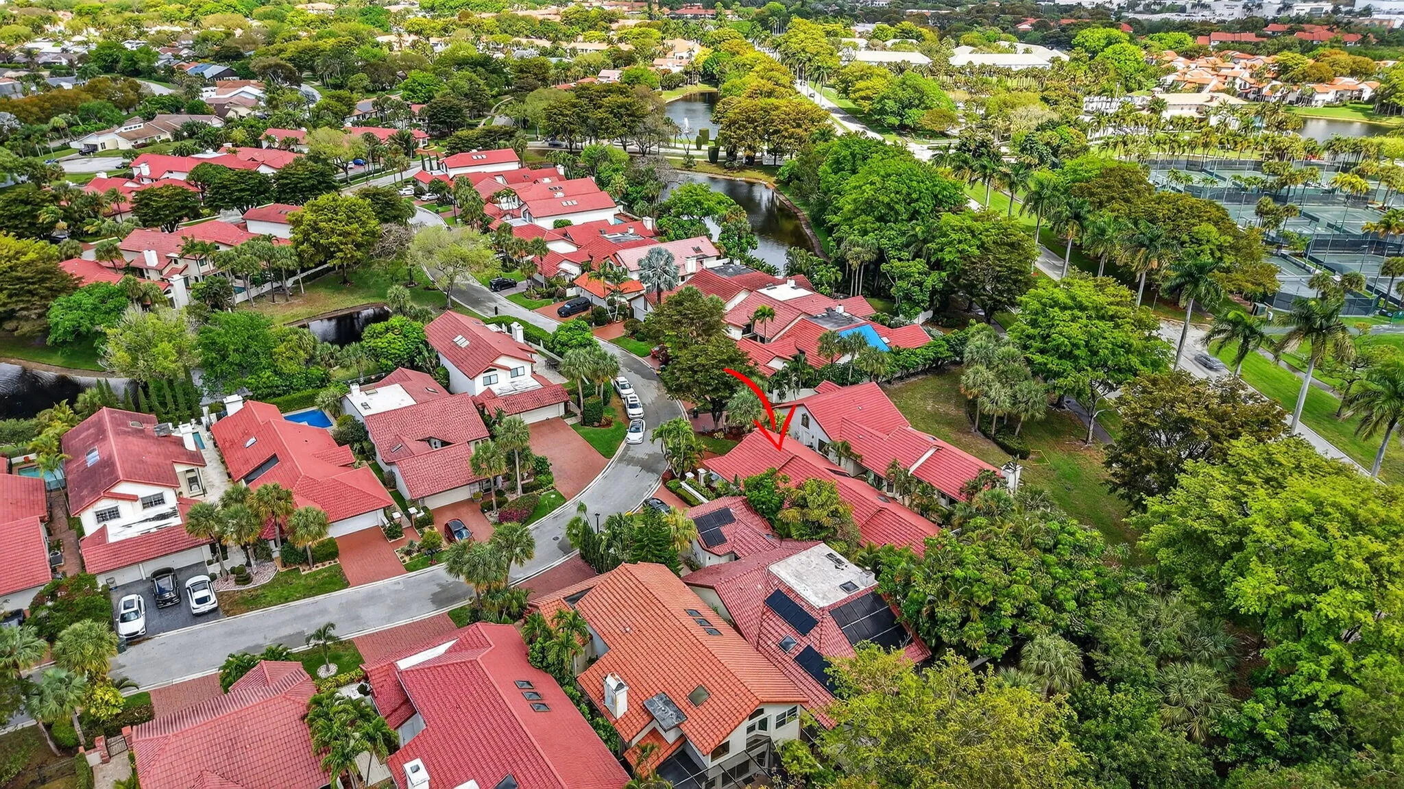 AERIAL