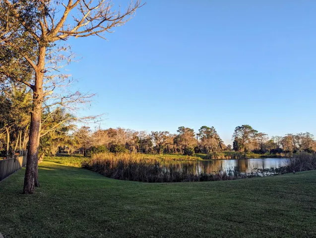 PXL_20240120_222210581