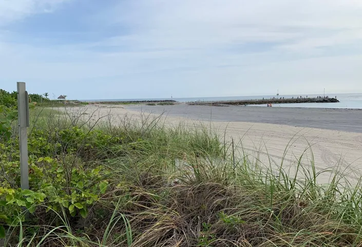 Jupiter Beach1