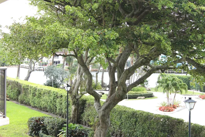 Balcony View - Copy