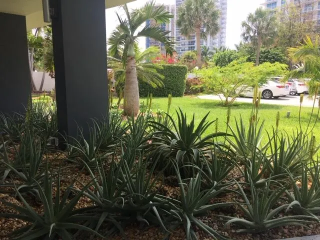 Gardens