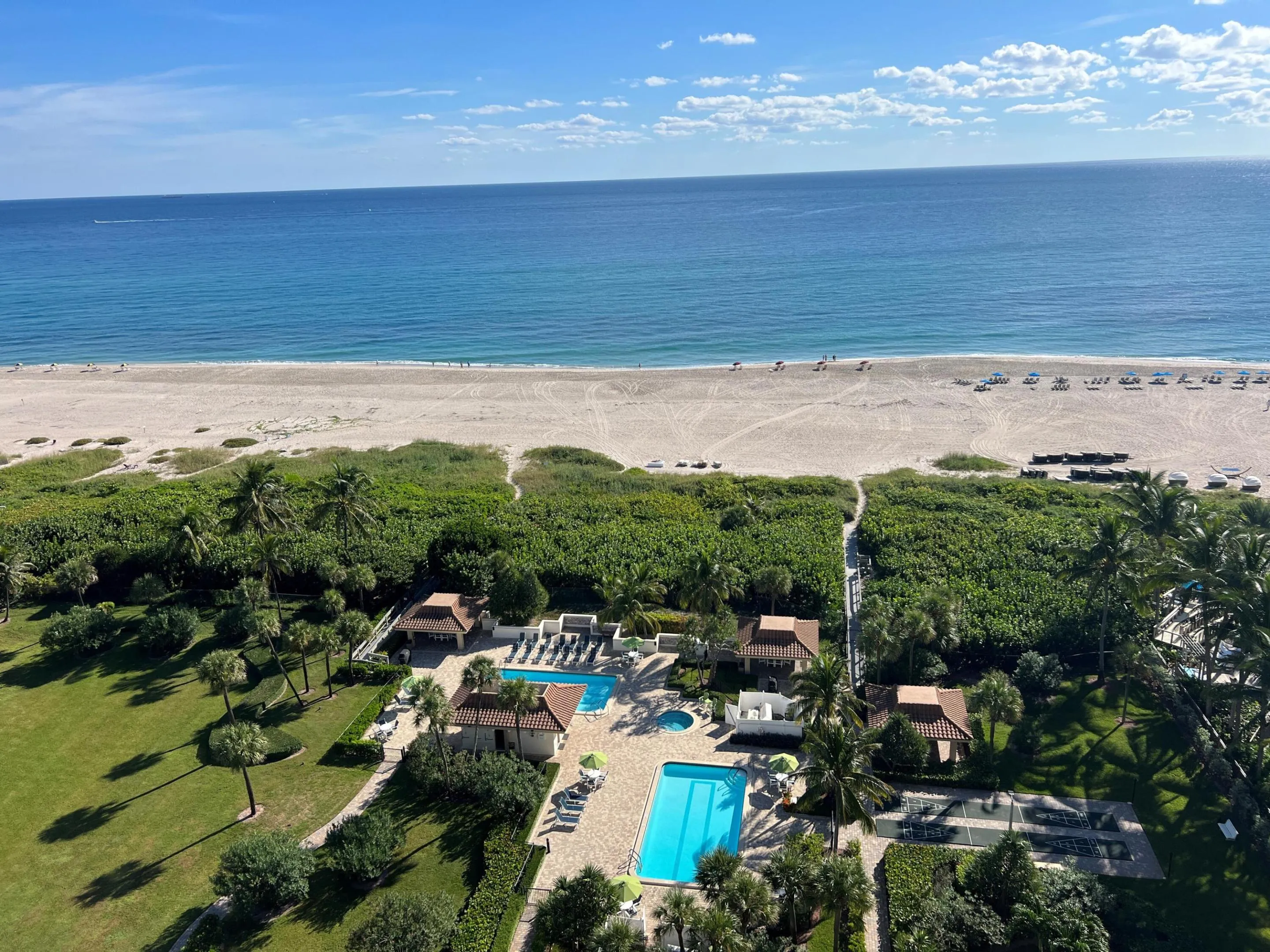 Oceantree Pools & Beach from Oceantree #
