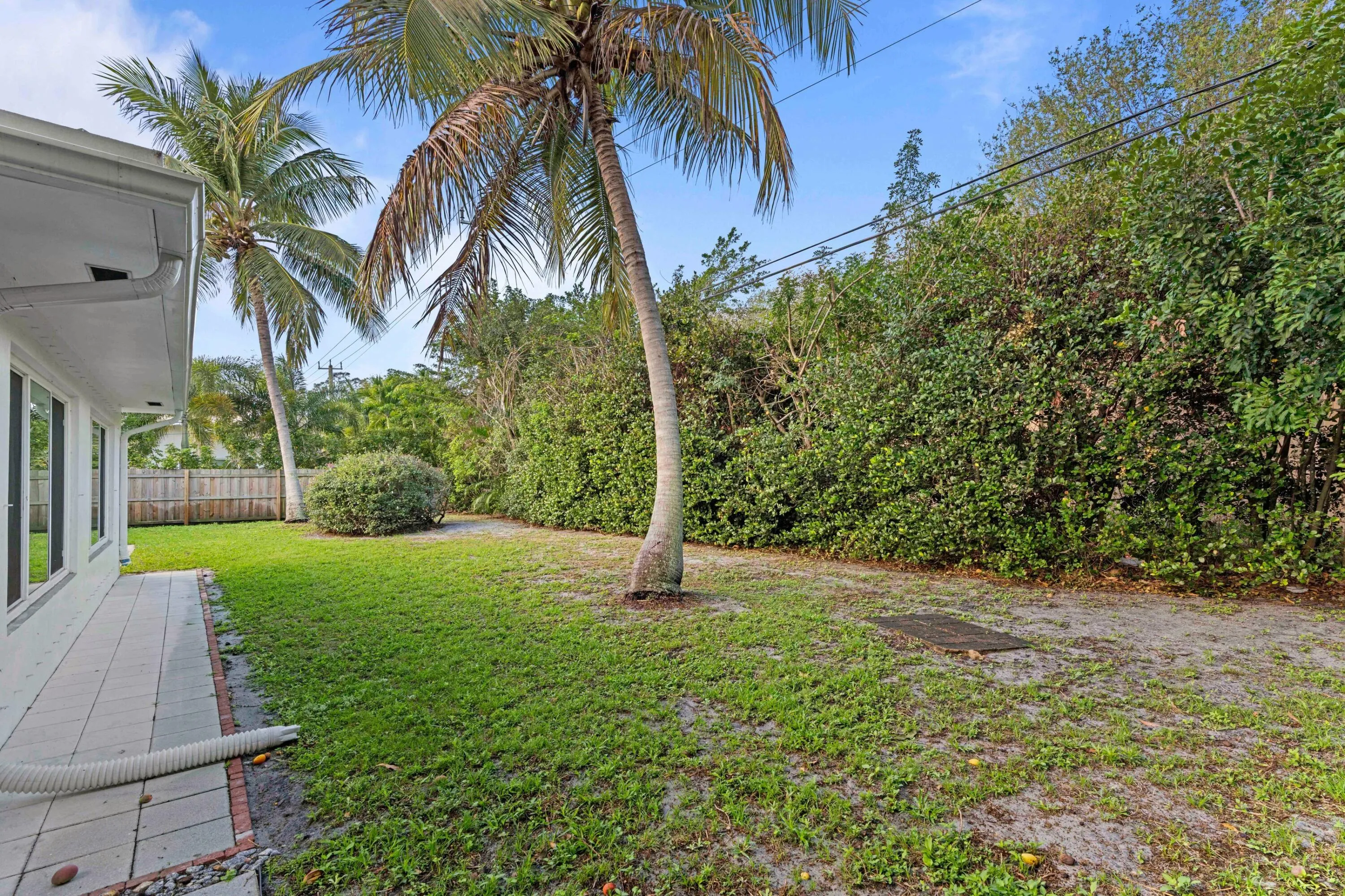 Backyard