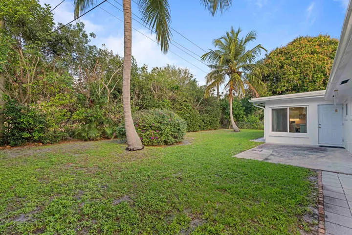 Backyard