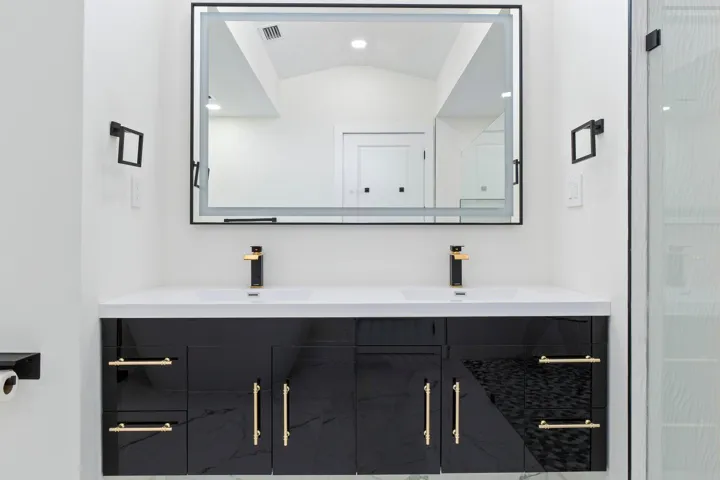 Master dual sinks