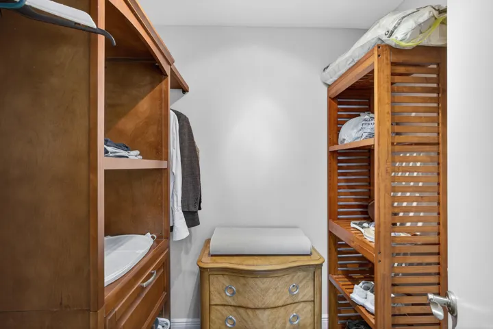 Guest Walk in Closet