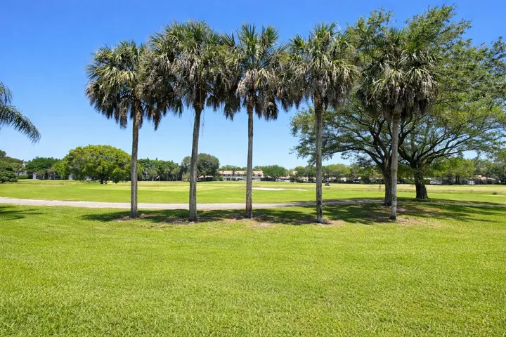golf_view