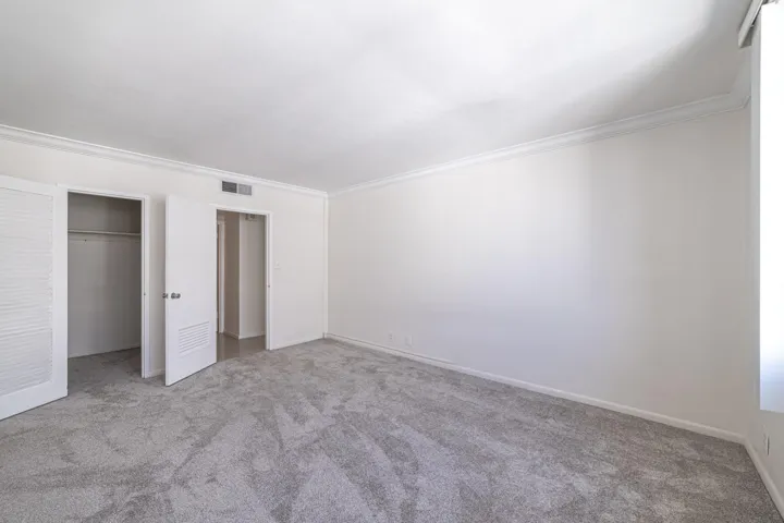 New carpet 2025