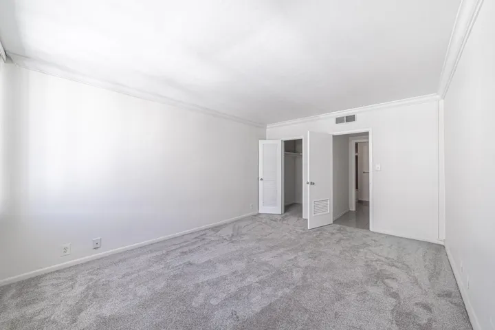 New Carpet 2025
