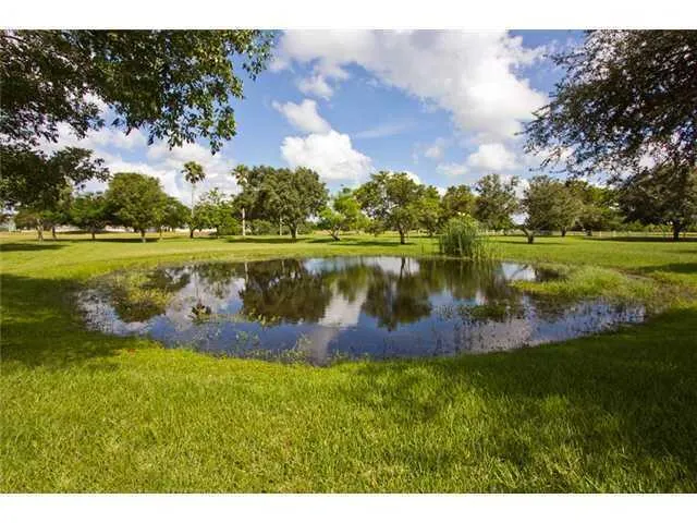 Pond View