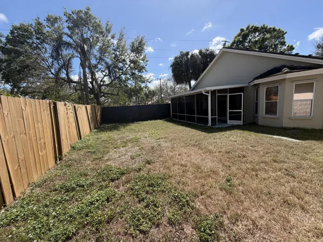 Backyard
