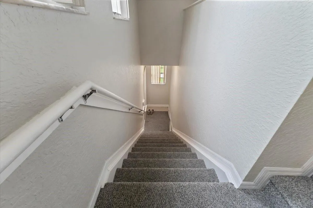 STAIRS-NEW CARPET