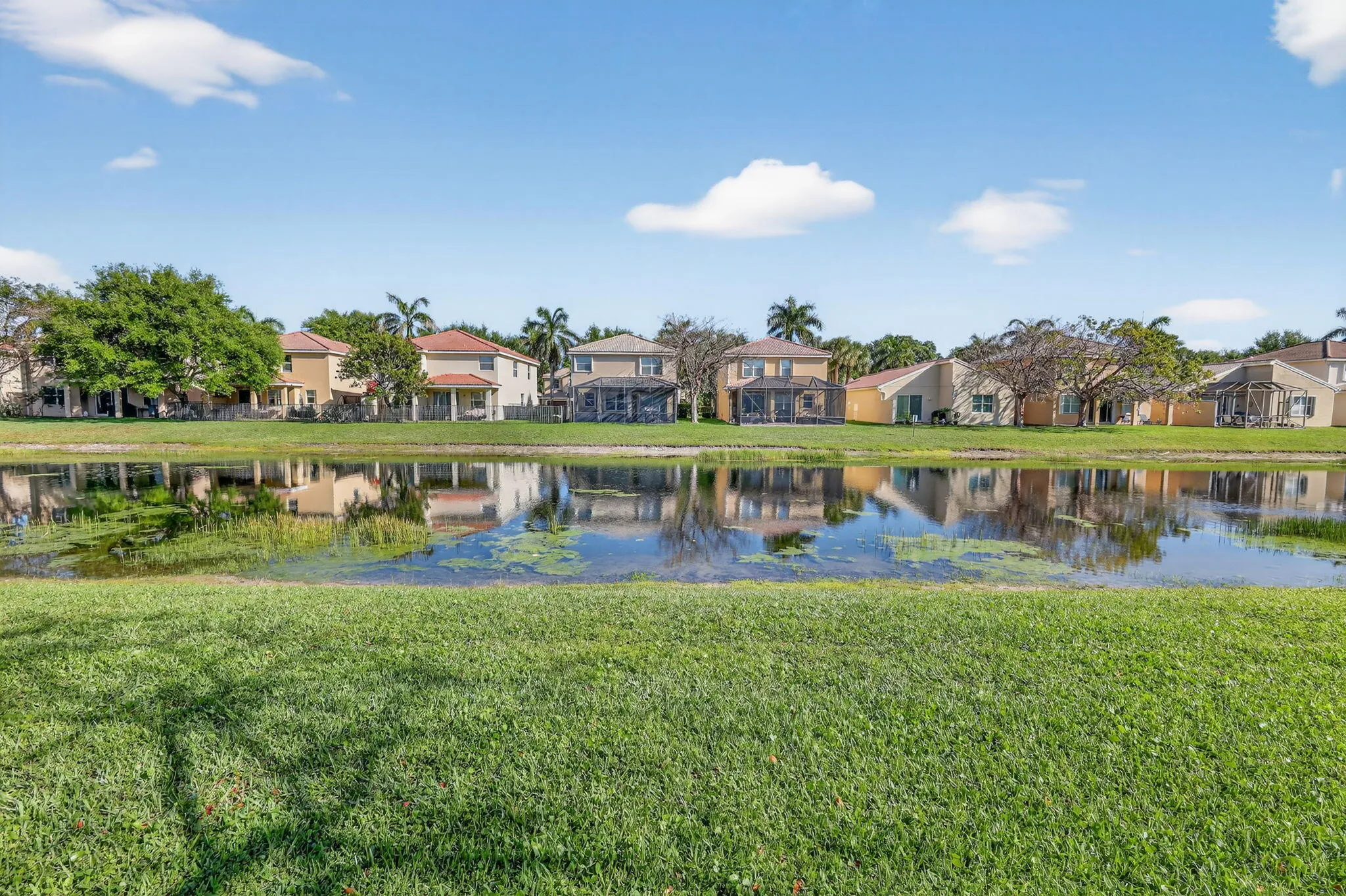 61-web-or-mls-F14A2584