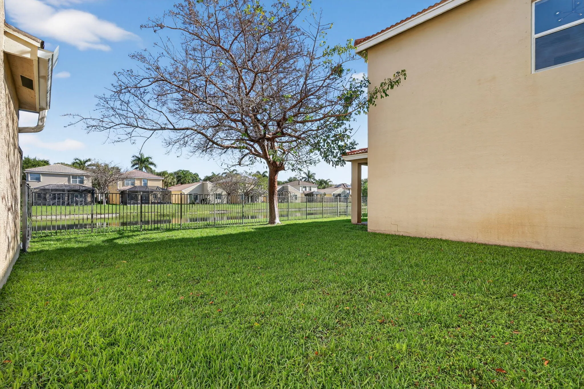 60-web-or-mls-F14A2579