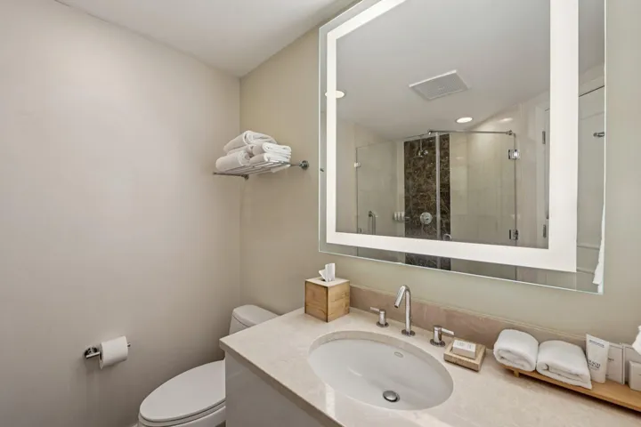 Guest bath