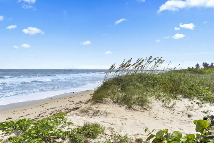Beach Sand Dune