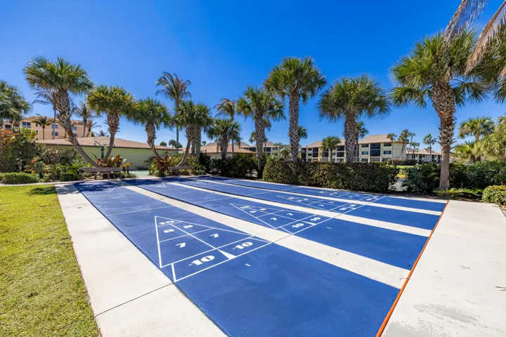 Shuffleboard
